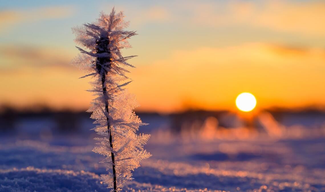 Die Sonne hat deutlich mehr Stunden eingesammelt als im Vergleichszeitraum. (Archivbild)
