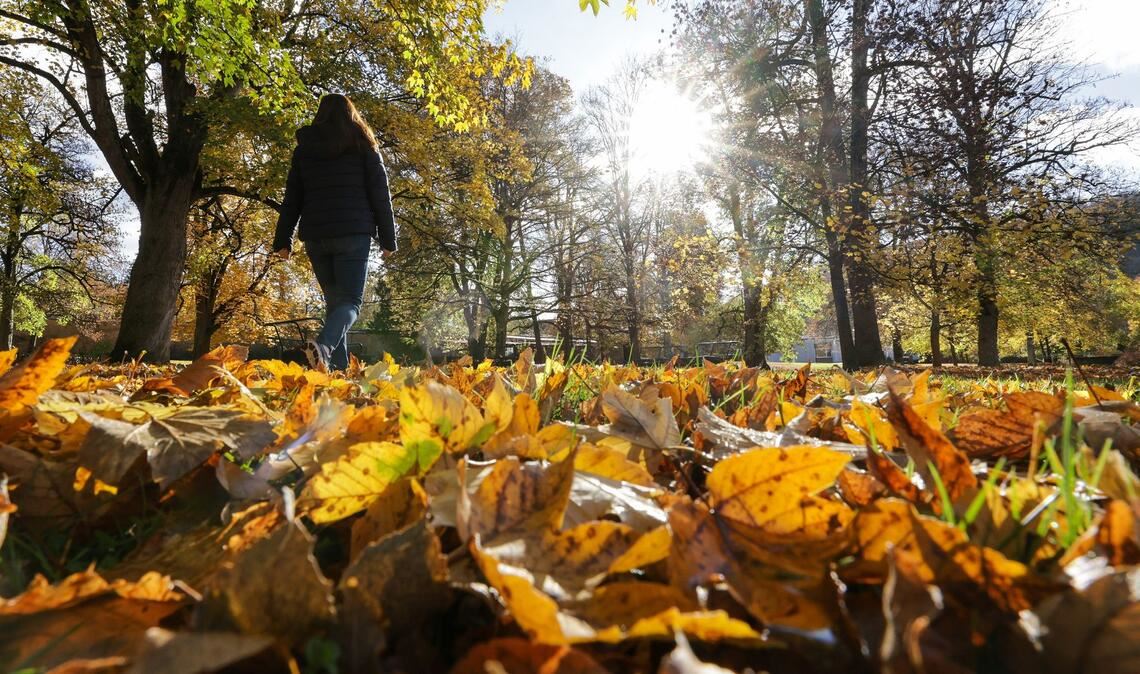 Die Sonne ist längst nicht überall zu sehen und zeigt sich eher sporadisch.