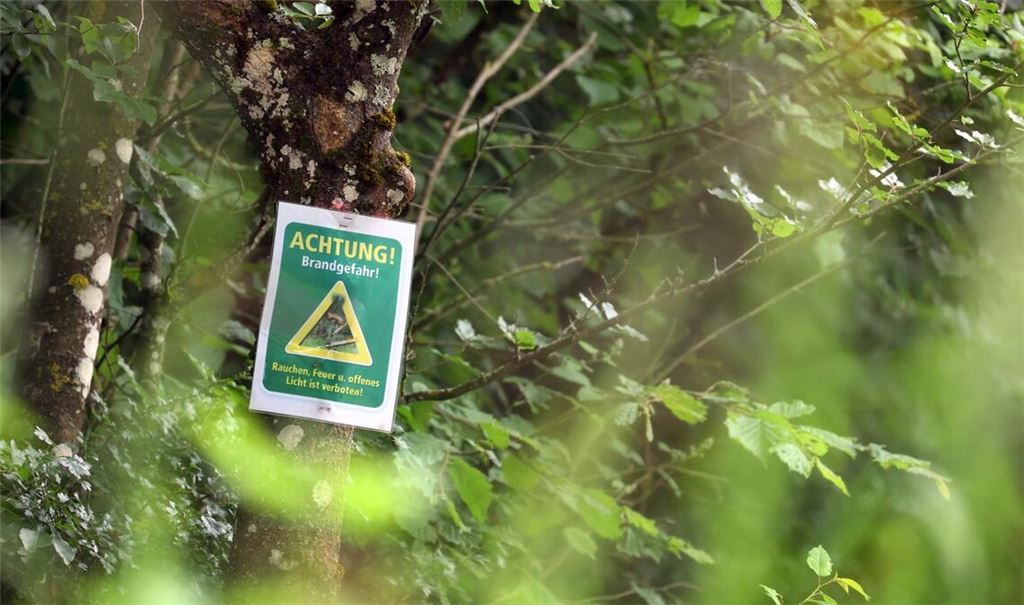 Die Sonne lacht über Baden-Württemberg am Wochenende – doch auch die Waldbrandgefahr steigt (Symbolbild).