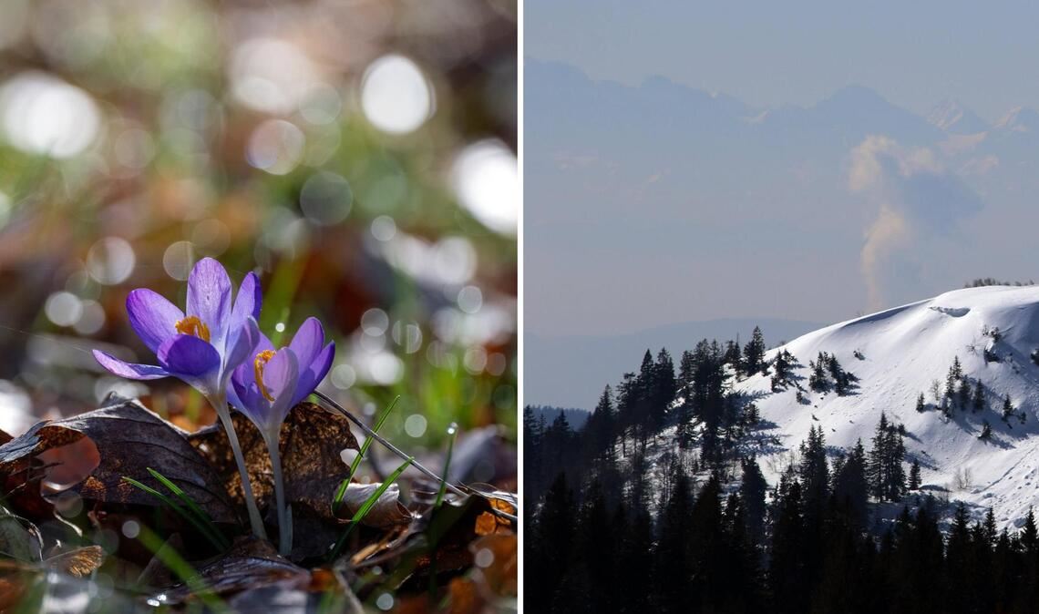 Die Sonne scheint in den kommenden Tagen über Baden-Württemberg – vereinzelt ist aber auch Schneefall möglich.