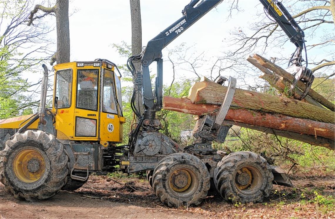 Ärger wegen Flurschaden im Wald