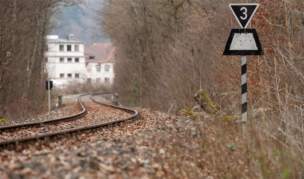 Die Stadt Maulbronn wünscht sich einen Zugverkehr auf dem Stichgleis ins Zentrum. Foto: Archiv 