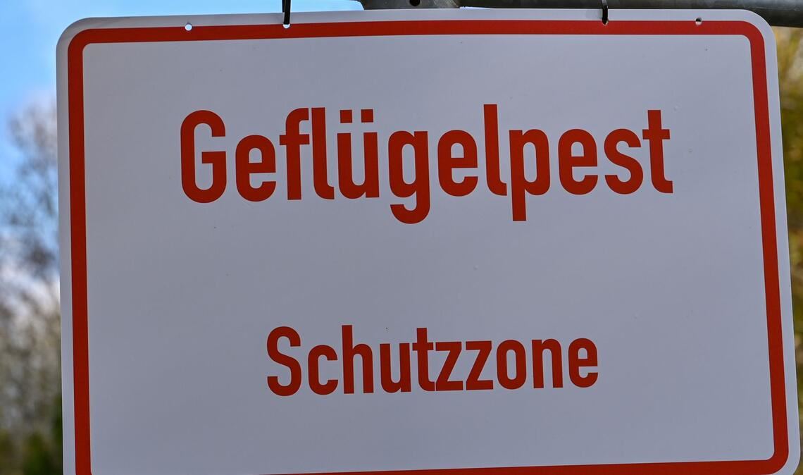Die Stallpflicht wurde in Baden-Württemberg wieder aufgehoben. (Symbolbild)