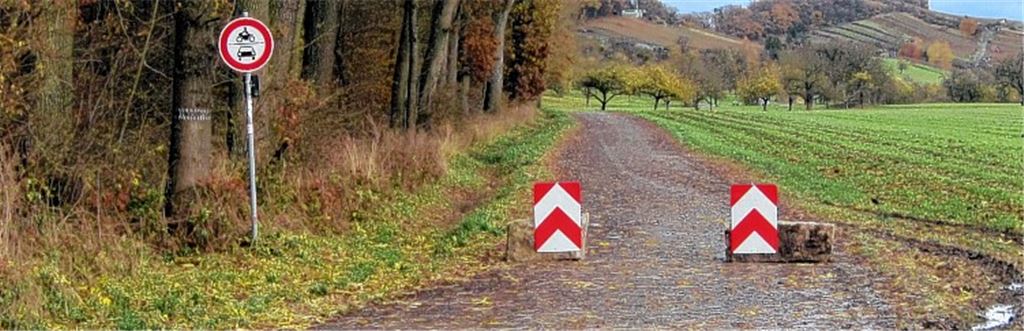 Häckselplatzroute als Politikum