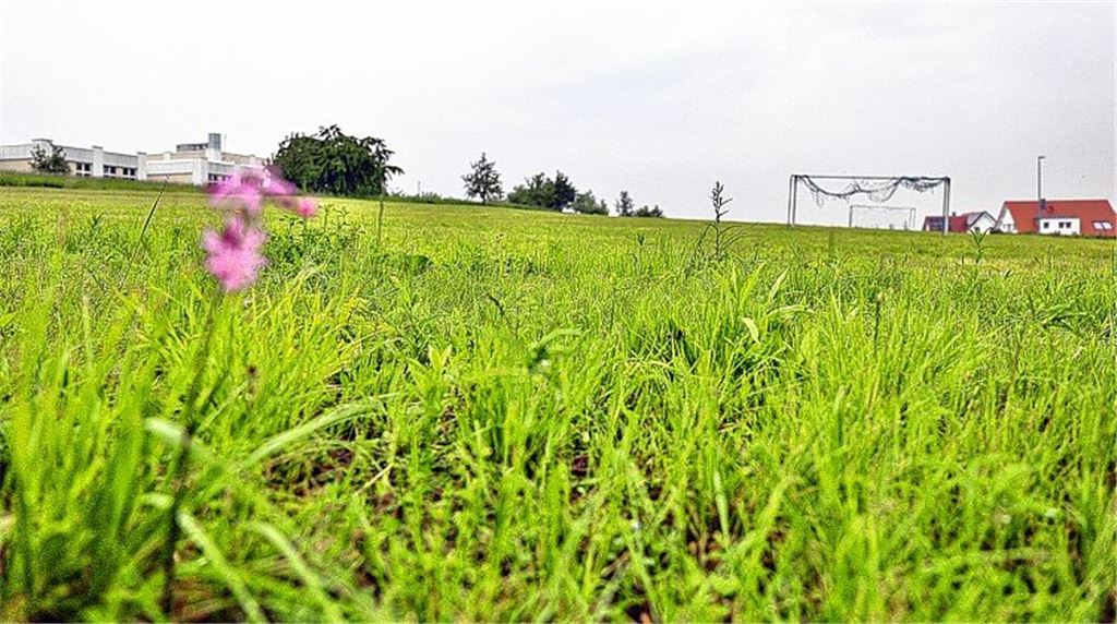 Anwohner protestiert gegen Süss-Pläne