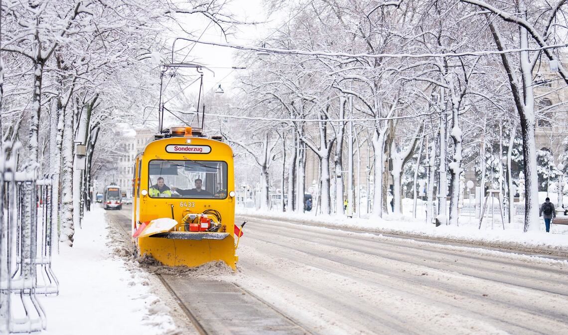 Die Straßen in Wien präsentieren sich weiß.
