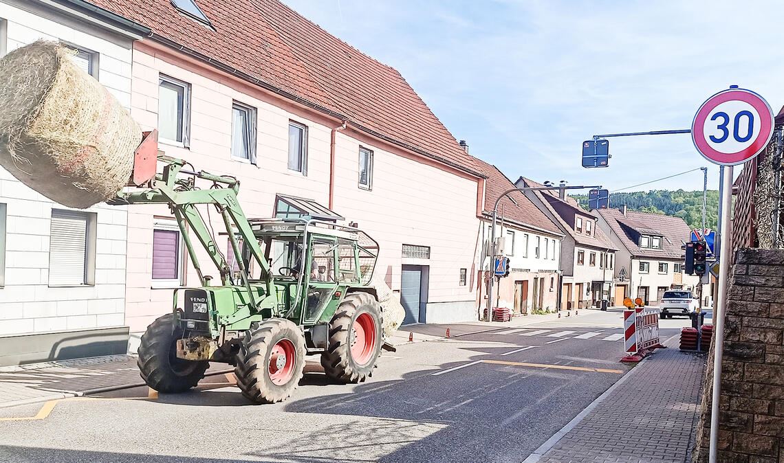 Die Straßenmeisterei hat diee Woche die „Tempo 30“-Schilder an der Lomersheimer Ortsdurchfahrt aufgestellt. Foto: Deeg