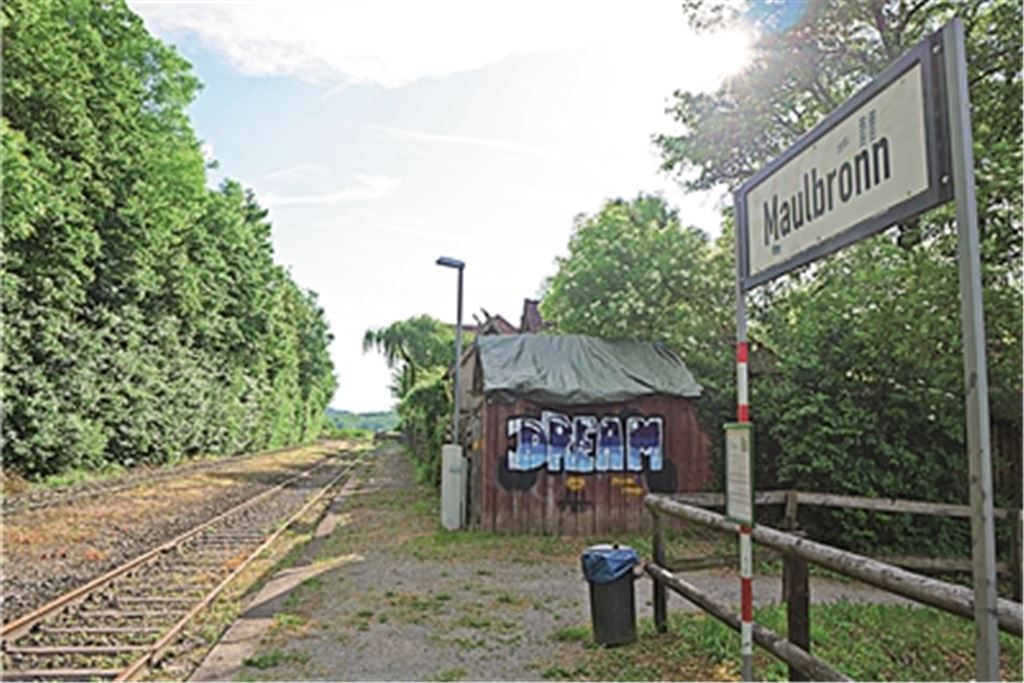 Die Strecke zwischen Maulbronn-West und Orkskern soll reaktiviert werden.Foto: sf