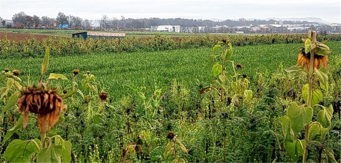 Die Suche nach einer geeigneten Fläche für ein Gewerbe- und Industriegebiet bleibt schwierig und umstritten. Eine Ausweisung im Gebiet Lug-Fuchsensteige wird mehrheitlich abgelehnt.