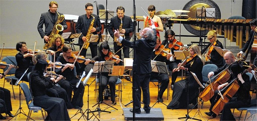 Die Süddeutsche Kammersinfonie Bietigheim unter der Leitung von Peter Wallinger.