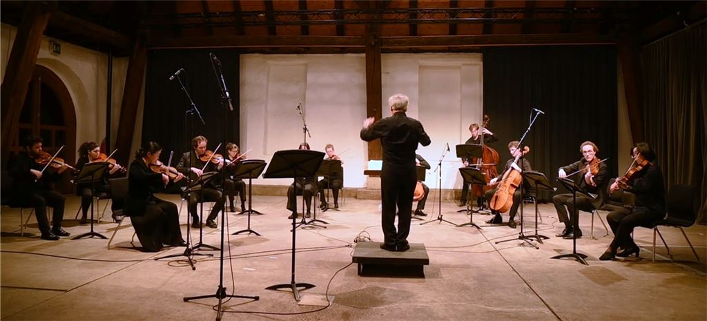 Die Süddeutsche Kammersinfonie Bietigheim unter der Leitung von Peter Wallinger. Fotos: Friedrich