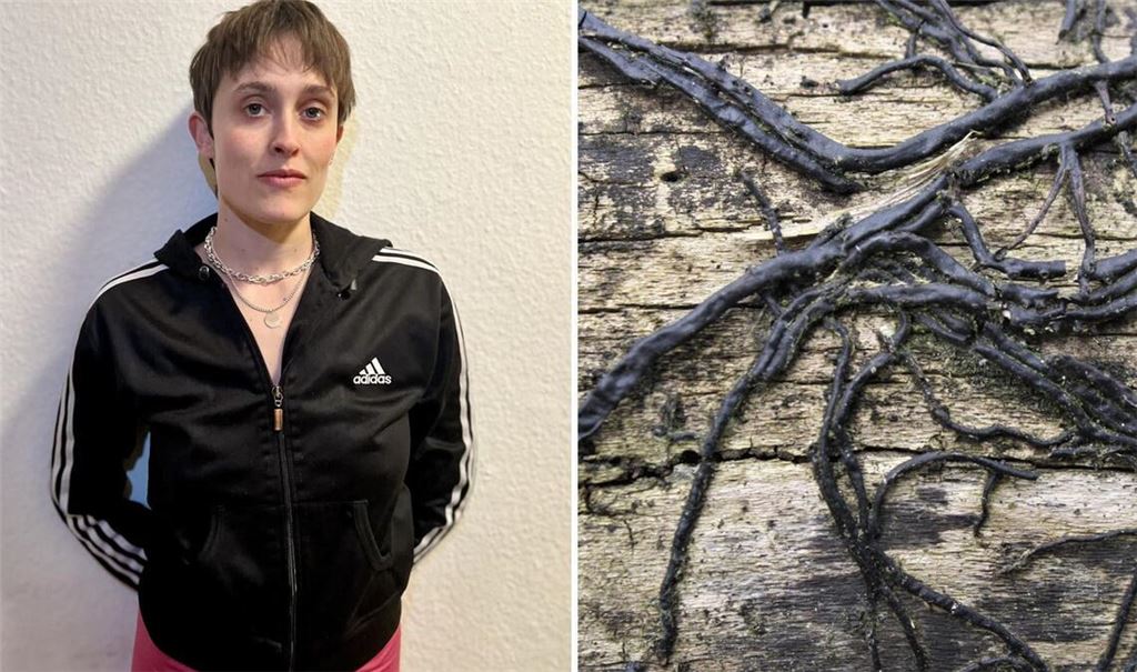 Die Tänzerin und Choreografin Stella Covi ist fasziniert von den Netzwerken, die Pilze wie der Hallimasch bilden.