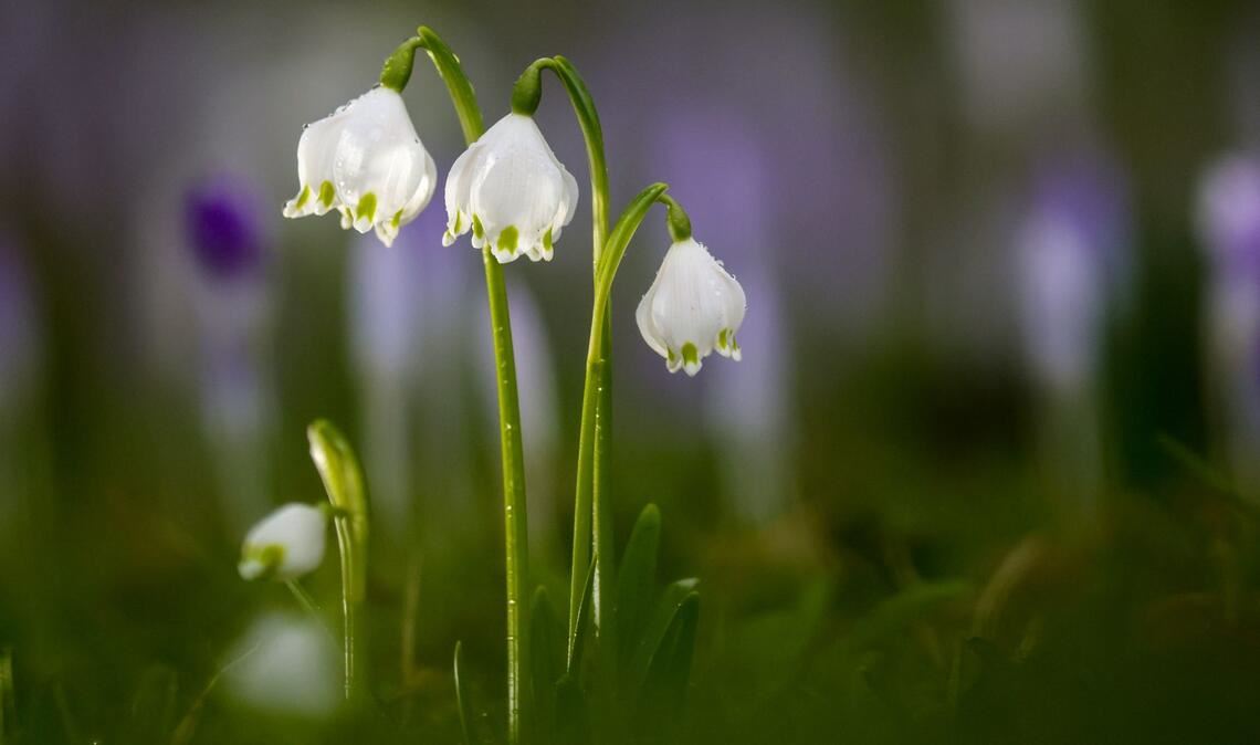 Die Temperaturen bleiben mild.