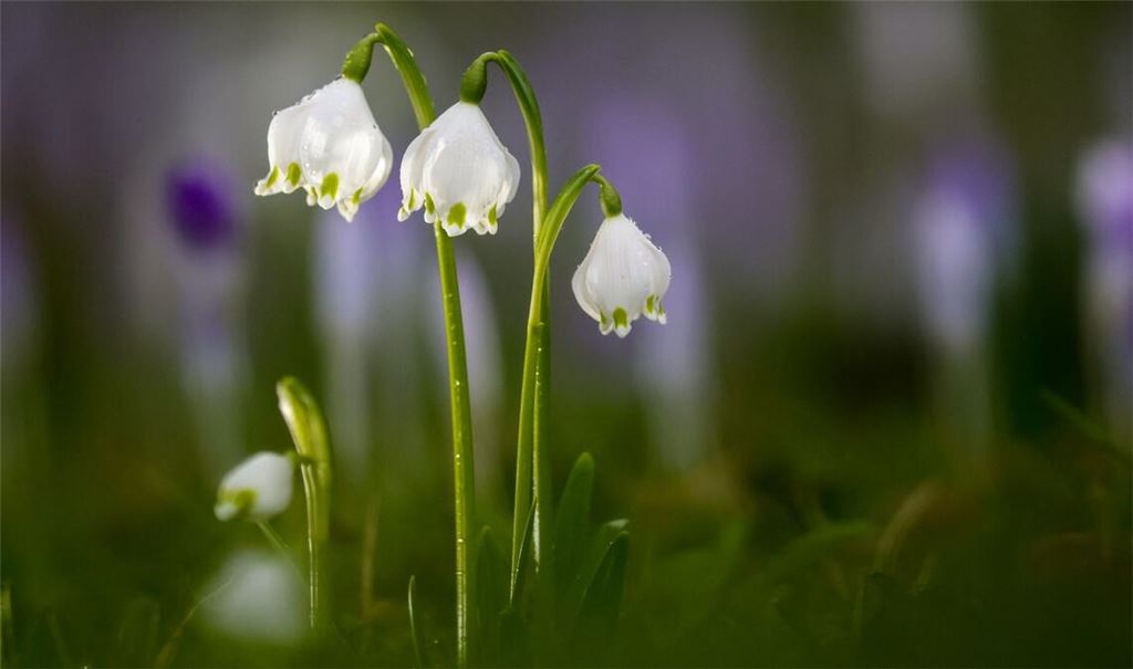 Die Temperaturen bleiben mild.