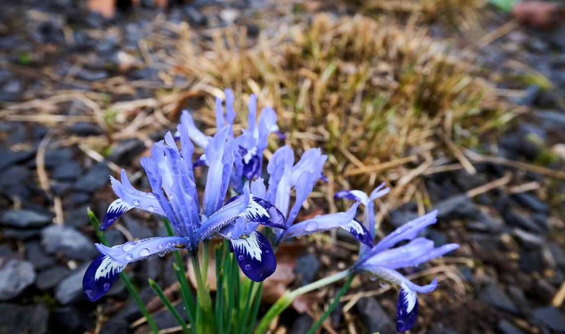 Die Temperaturen klettern in den nächsten Tagen in die Höhe.