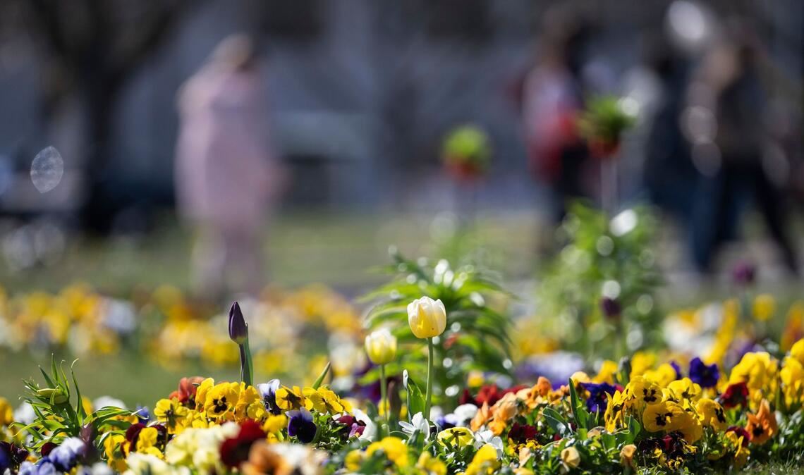 Die Temperaturen steigen in Baden-Württemberg in den kommenden Tagen. (Archivbild)