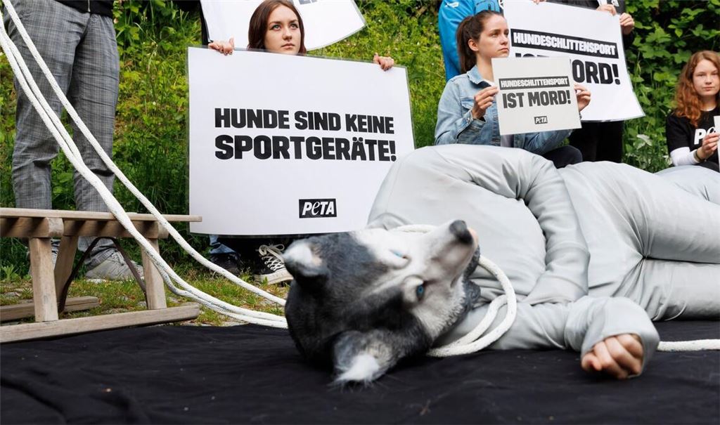 Die Tierschutzorganisation Peta protestiert vor dem Gericht.