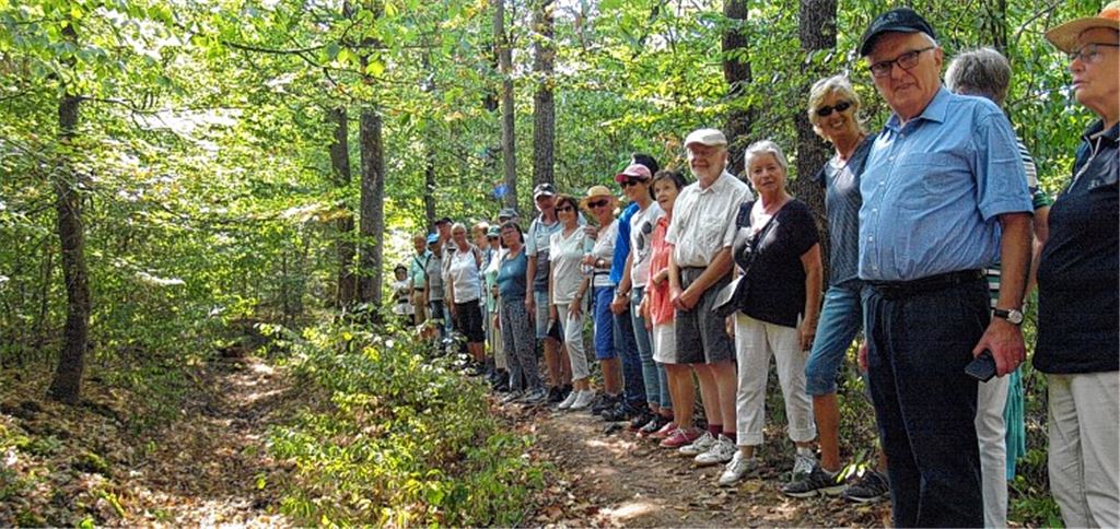 Hesse und die Liebe zu Bäumen
