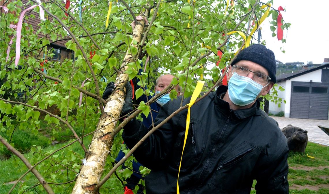 Der 1. Mai ist trotz Corona bunt Die Tradition lebt – trotz Corona: Die Lienzinger Martin Schaufelberger und Klaus Heinzmann (vorne) sorgen dafür, dass der Mühlacker Stadtteil einen Maibaum hat. Die Anwohner um die Kelter applaudieren, als das Duo die bunt geschmückte Birke in senkrechte Position bringt. Fotos: Stahlfeld, Friedrich, Fotomoment, privat