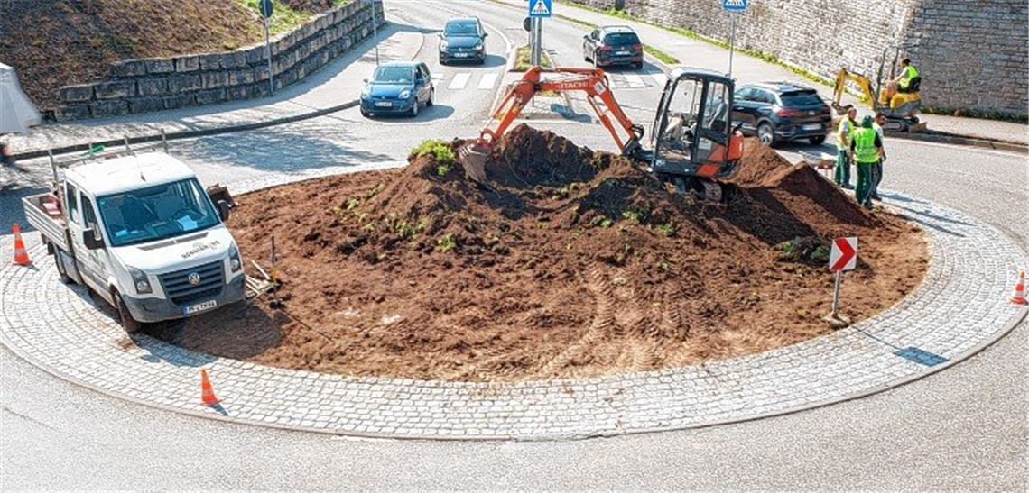 Kreisel soll Paradies für Insekten werden
