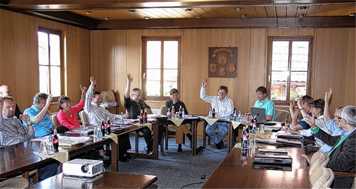 Die Verbandsversammlung des Schulzweckverbandes „Platte“ tagt im Wiernsheimer Rathaus. Einstimmig votieren die Mitglieder für die Einrichtung einer Gemeinschaftsschule ab dem Schuljahr 2014/2015 mit Sitz in Wiernsheim und einer Außenstelle in Mönsheim.