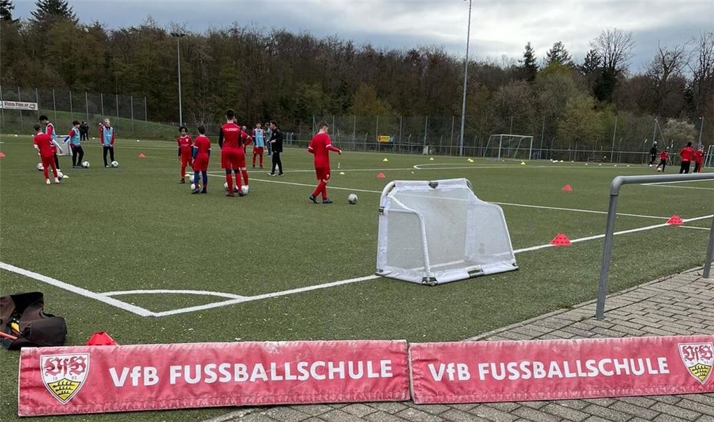 Die VfB-Fußballschule ist auf der Suche nach den besten Talenten in der Region. Am 20. März suchen die VfB-Nachwuchstrainer begabte Spieler in Pforzheim. Fotos: VfB Stuttgart