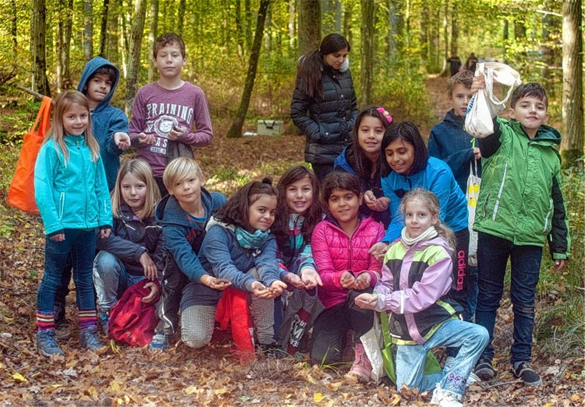 Viertklässler sammeln Eicheln Viertklässler sammeln Eicheln