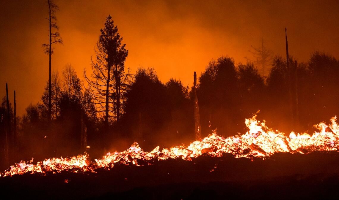 Die Waldbrandgefahr steigt mit dem Klimawandel, da Dürren häufiger werden. (Illustration)