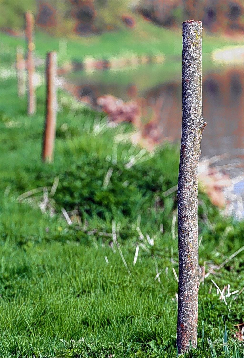 Sorge um Hochwasserschutz