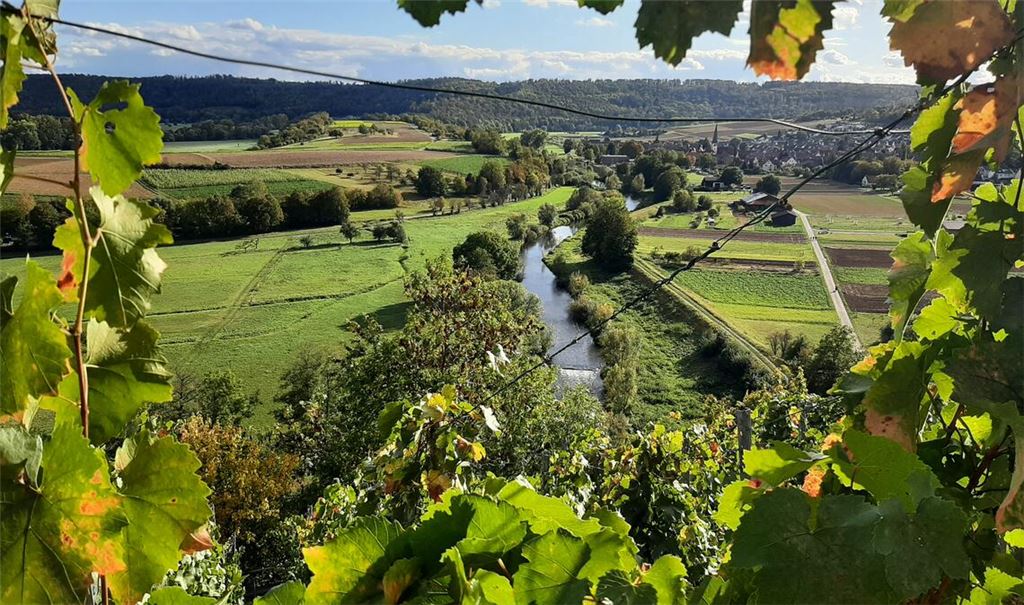 Die Weinberge von Mühlhausen im Herbstlicht. Foto: Ursula Klein, Lomersheim