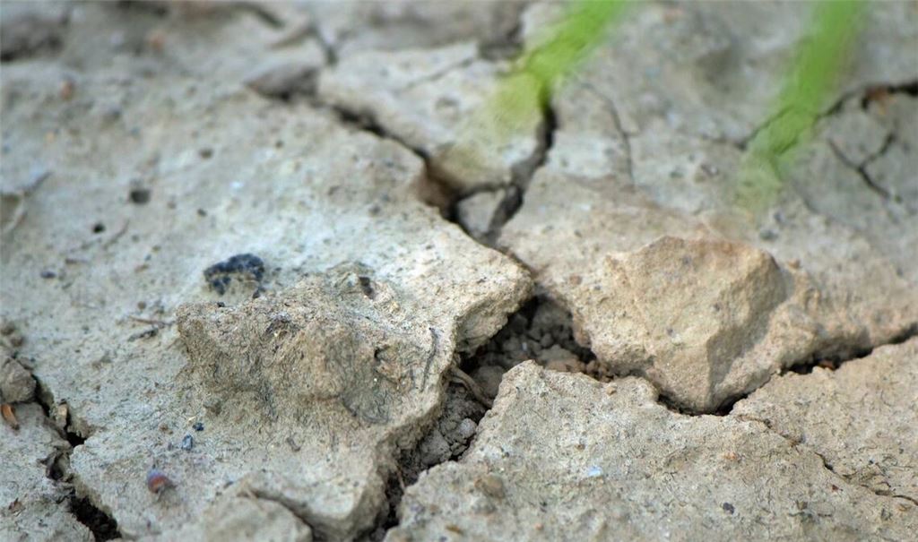 Die Welt trocknet langsam aus: Trockener Ackerboden im niedersächsischen Harzer Vorland