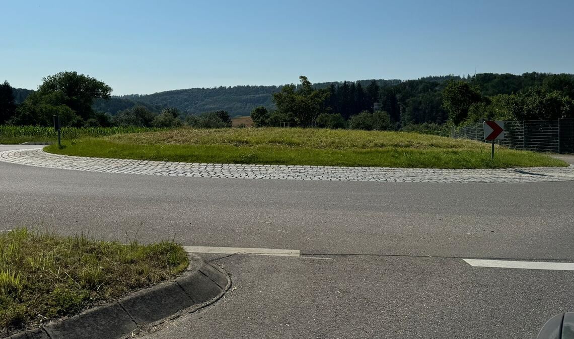 Radikaler Rückschnitt dient der Zukunft Die Wiese auf dem Kreisverkehr ist absichtlich zurückgestutzt worden, damit andere Pflanzen wachsen können. Foto: privat