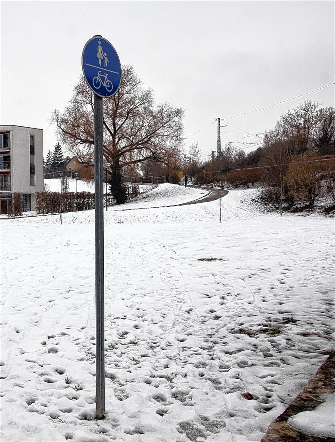 Die Wiese zwischen DRK-Seniorenheim (li.) und Wäscherei-Betrieb gilt als möglicher Standort für eine Eislaufbahn.