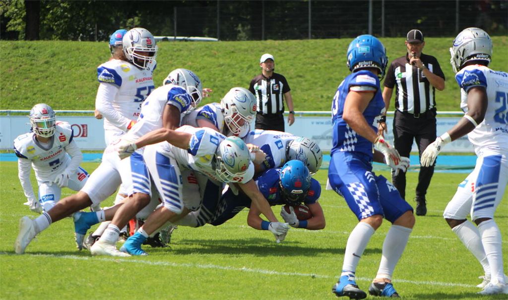 Die Wilddogs sind bereit für die Dolphins aus Paderborn. 