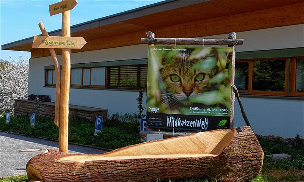 Stromberg-Tiger stößt auf Interesse