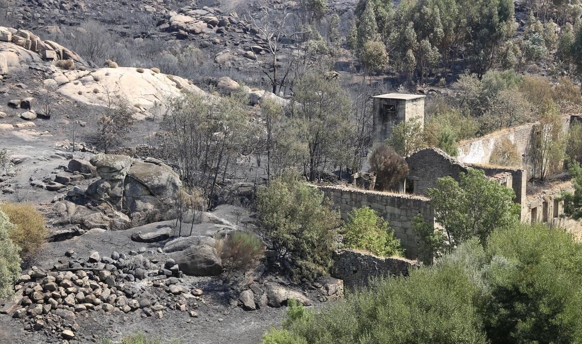 Bereits vier Tote bei Waldbränden in Portugal Die Zahl der Todesopfer der verheerenden Waldbrände ist in Portugal gestiegen. Historische Dörfer mussten evakuiert werden.
