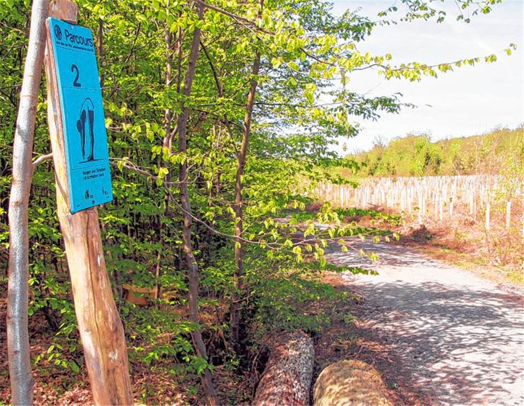Die Zeit der Rumpfbeugen auf dem Trimm-dich-Pfad in Illingen ist abgelaufen. Archivfoto: Goertz