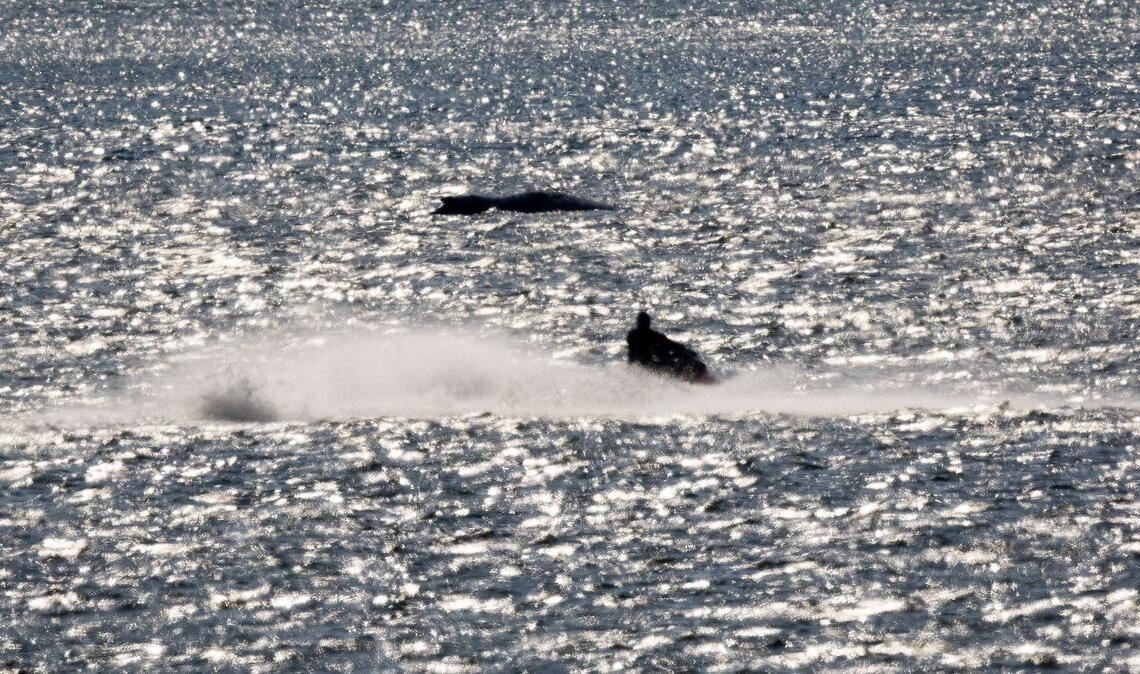 Die Zeit drängt, weil der Wasserstand sinkt.