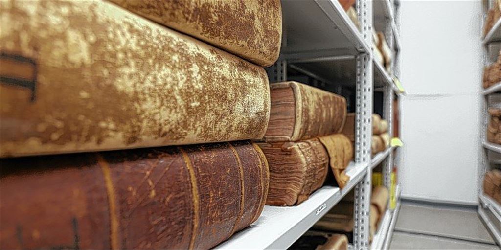 Die Zukunft der Historie