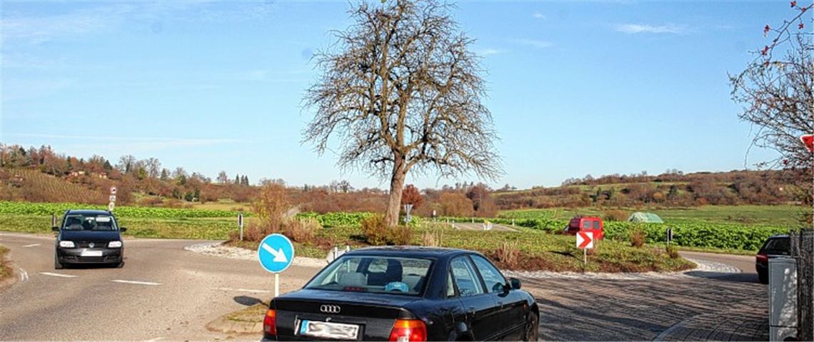Die Zukunft des Birnenbaums auf der Mittelinsel des Kreisverkehrs bei Lomersheim ist weiterhin unsicher. 