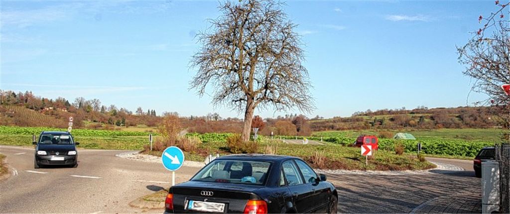 Die Zukunft des Birnenbaums auf der Mittelinsel des Kreisverkehrs bei Lomersheim ist weiterhin unsicher. 