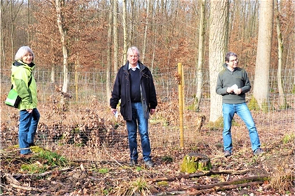 Die Zukunft des Waldes in Zeiten des Klimawandels beschäftigt die Menschen, weiß die grüne Abgeordnete Stefanie Seemann (li.), hier in Knittlingen bei einem Termin im Forst. Archivfoto: privat