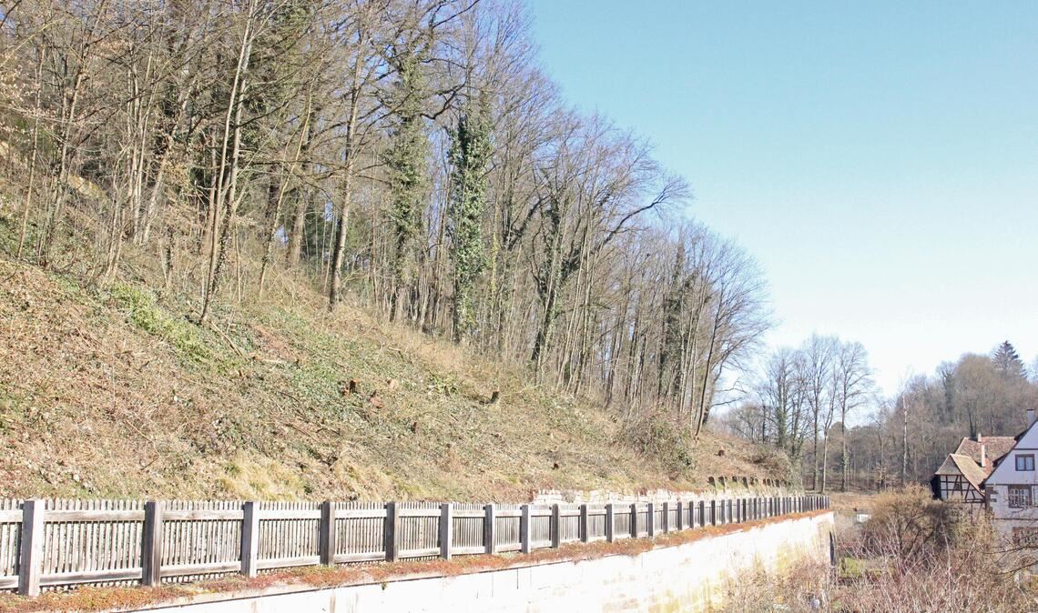 Die aktuelle Situation am Hang über dem Fußweg beim Kloster. Foto: Stadtverwaltung Maulbronn