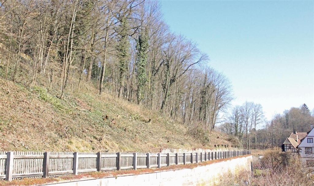 Die aktuelle Situation am Hang über dem Fußweg beim Kloster. Foto: Stadtverwaltung Maulbronn