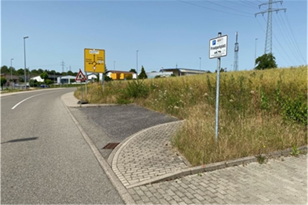 Die aktuelle Umleitungsstrecke ist der Baustelle an der Kieselmannbrücke geschuldet. Foto: privat