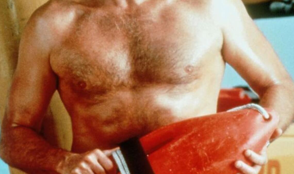 Die am Bauch dichtstehenden Borsten der Hoff-Krabbe erinnerten die Forscher an die beharrte Männerbrust von  David „The Hoff“ Hasselhoff, der auch Dave „The Body“ genannt wird.