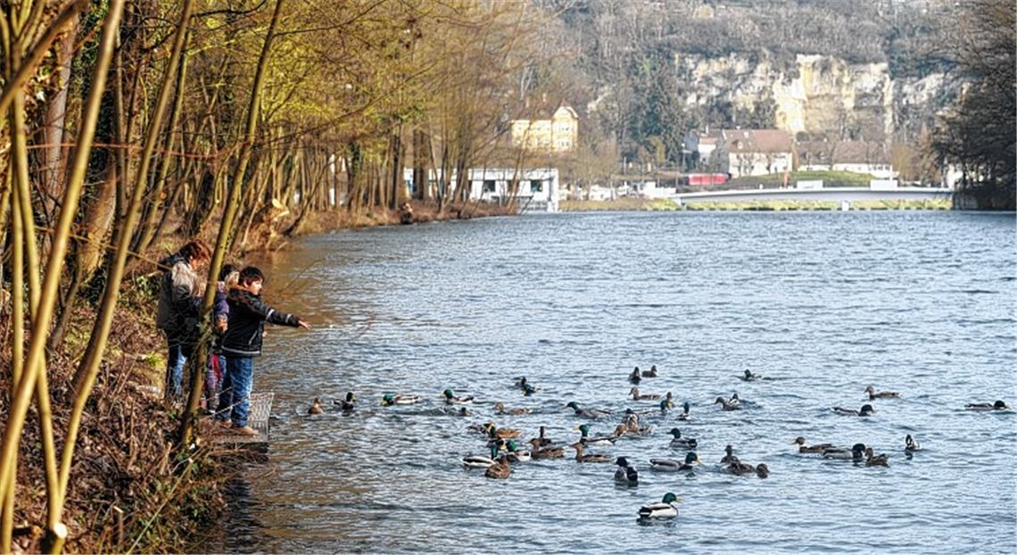 Die andere Seite der Enz: Das neue Konzept sieht vor, die Gartenschau 2015 flussaufwärts bis ins Käppele auszudehnen – allerdings nur einseitig auf Mühlacker Seite.