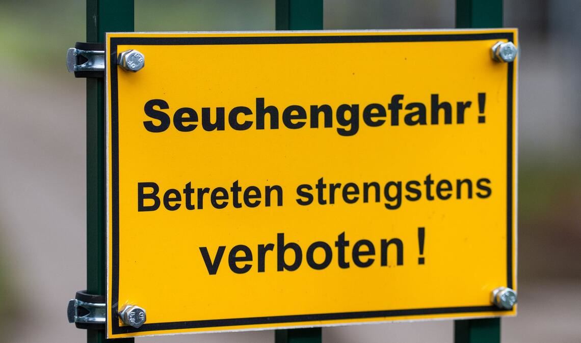 Die auch als Vogelgrippe bezeichnete Geflügelpest hat sich mittlerweile fast über ganz Deutschland ausgebreitet. (Archivbild)