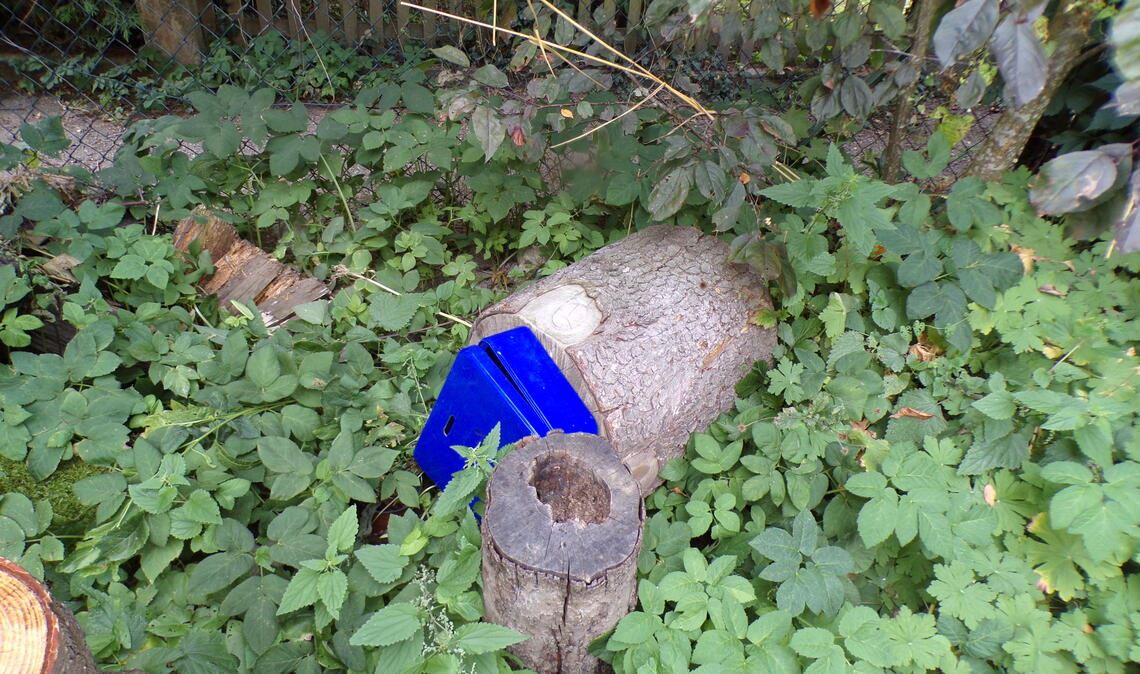 Die aufgebrochene Geldkassette landet nach dem Diebstahl ganz in der Nähe des Tatorts in einem Garten. Foto: privat