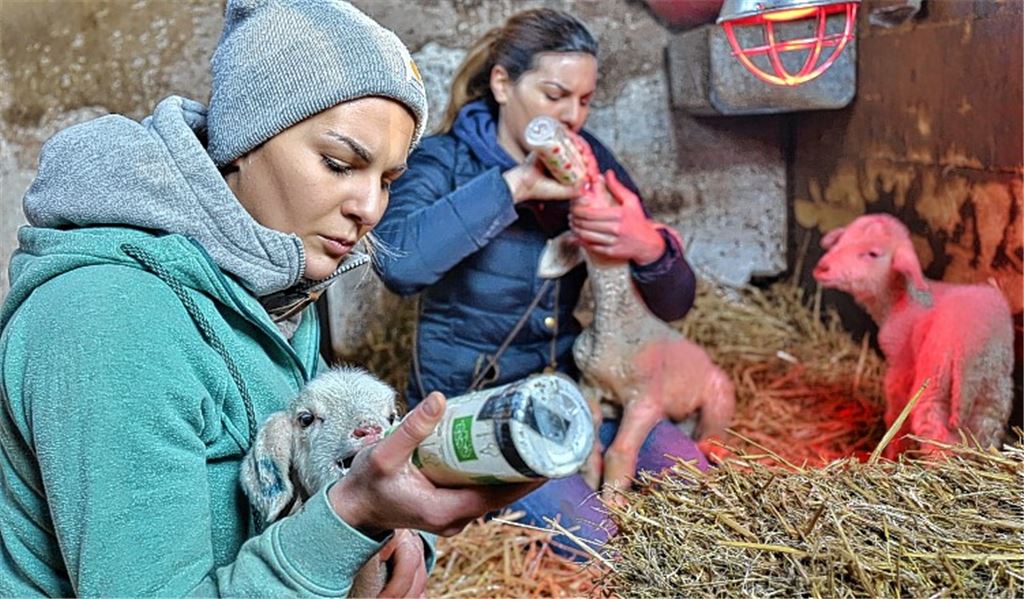 Trio in Weiß hält Zwillinge auf Trab